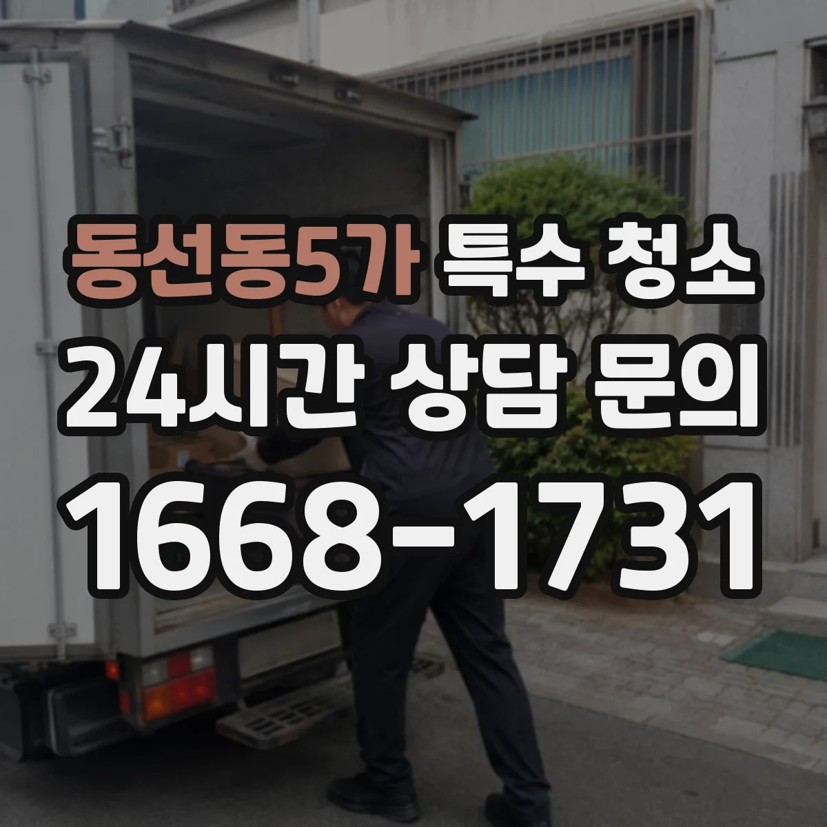 동선동5가 특수 청소
