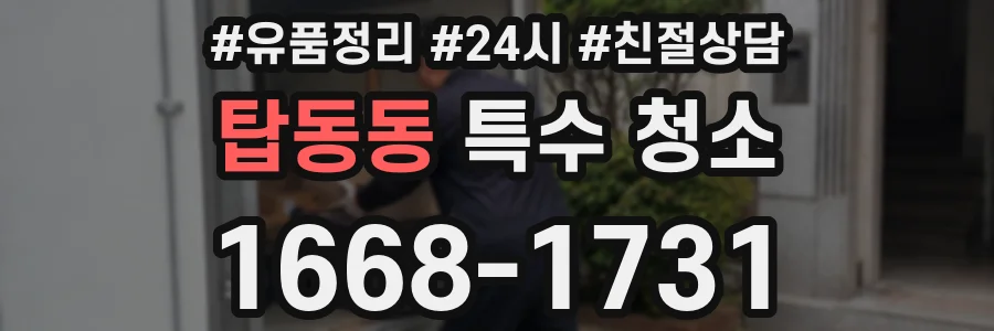 탑동동 특수 청소