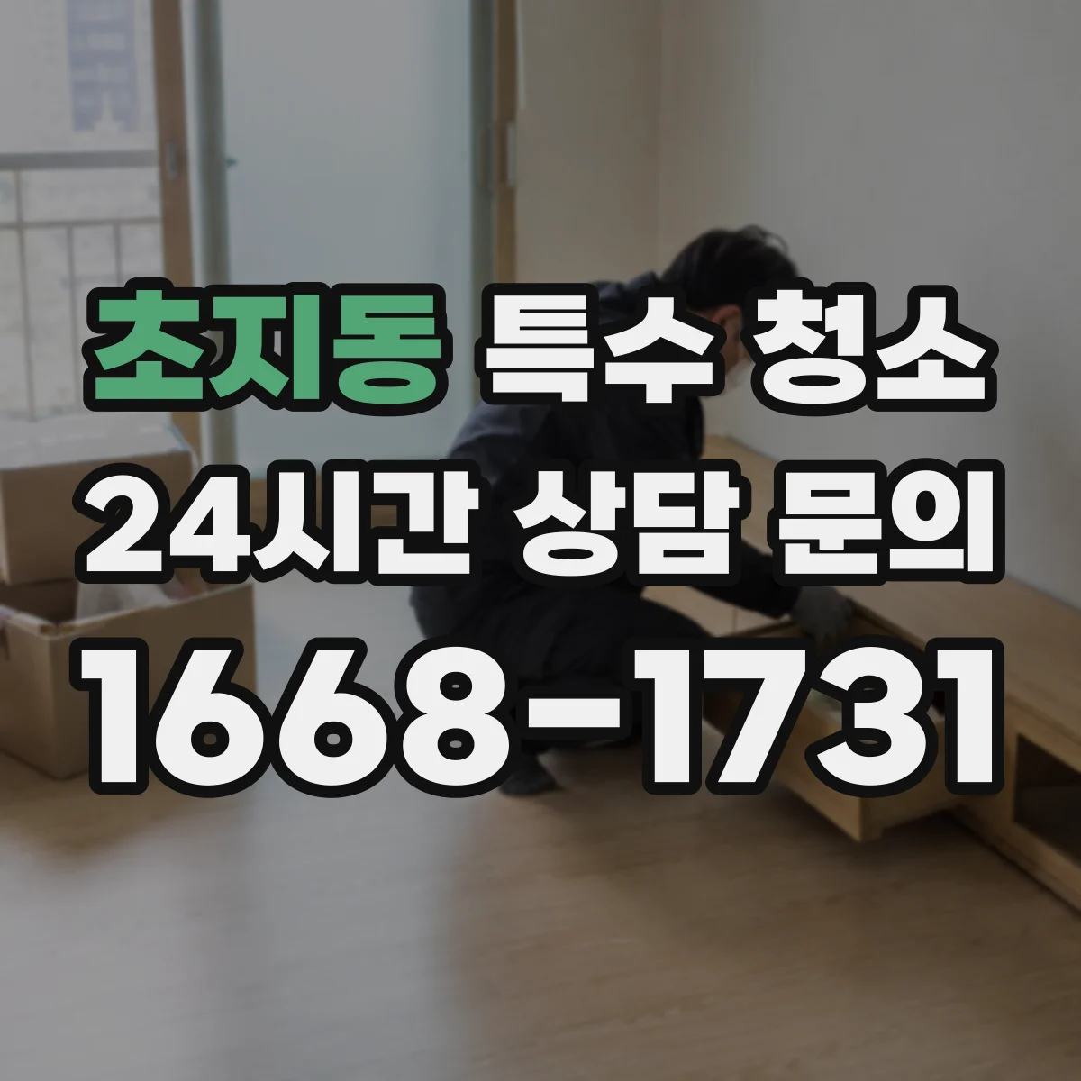 초지동 특수 청소