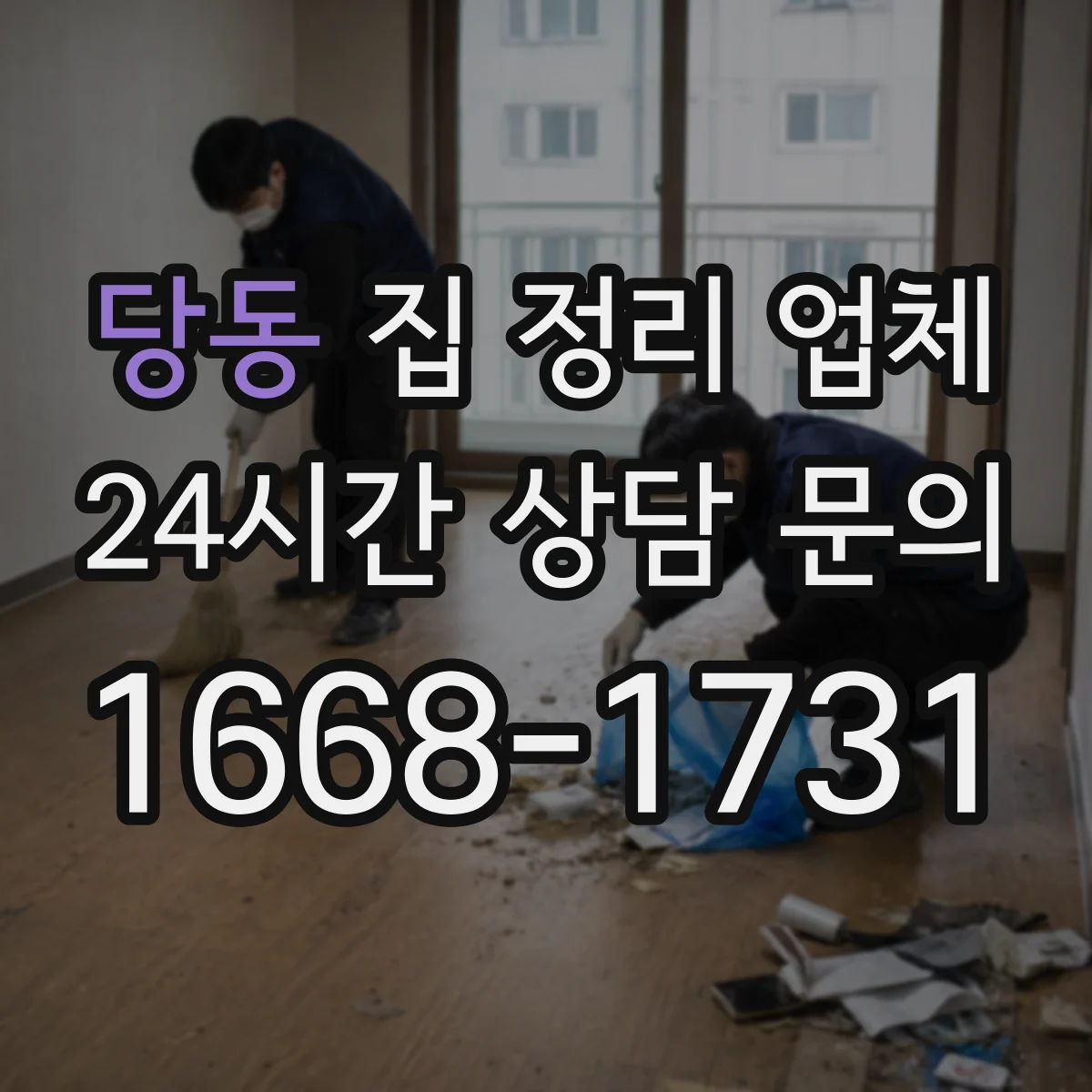 당동 집 정리 업체