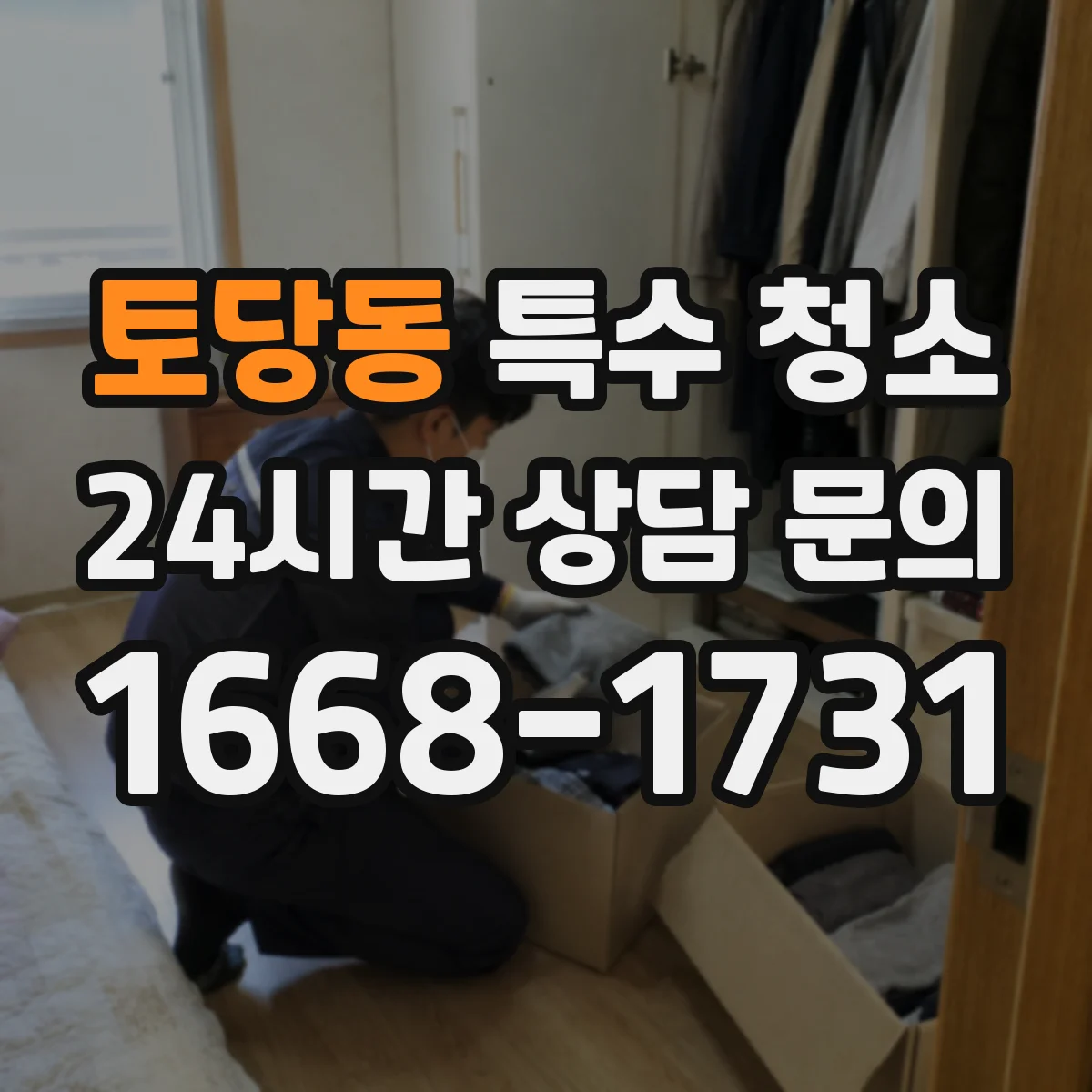 토당동 특수 청소