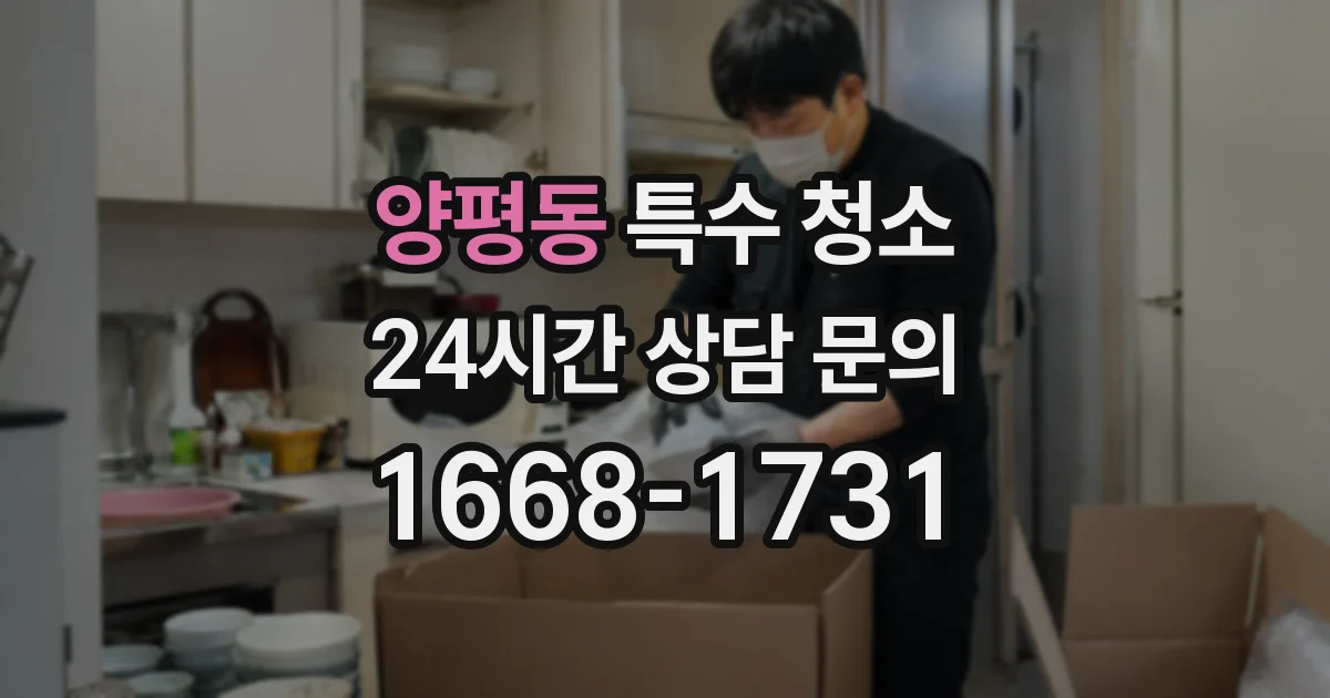 양평동 특수 청소