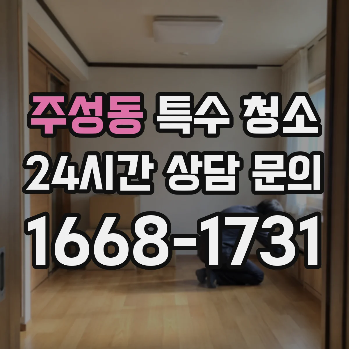 주성동 특수 청소