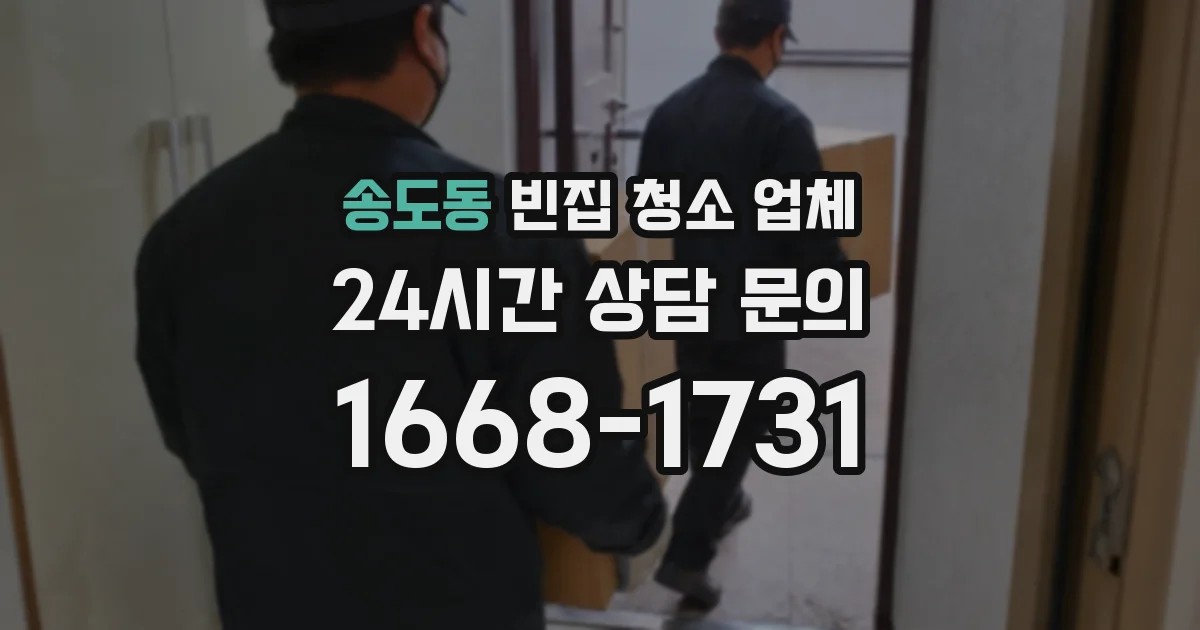 송도동 빈집 청소 업체