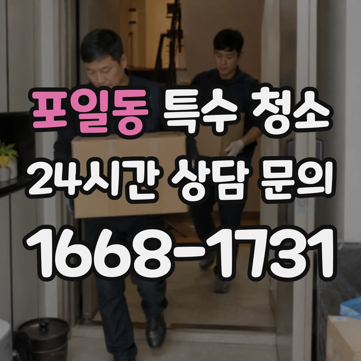 포일동 특수 청소