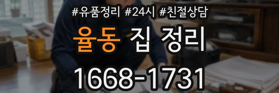 율동 집 정리