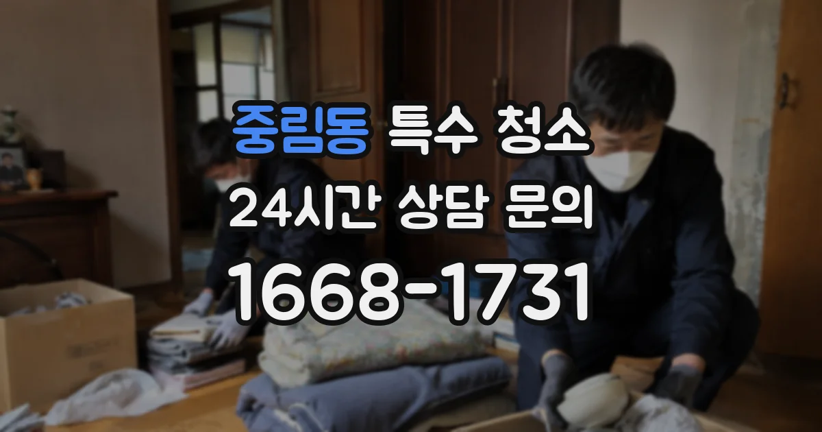 중림동 특수 청소