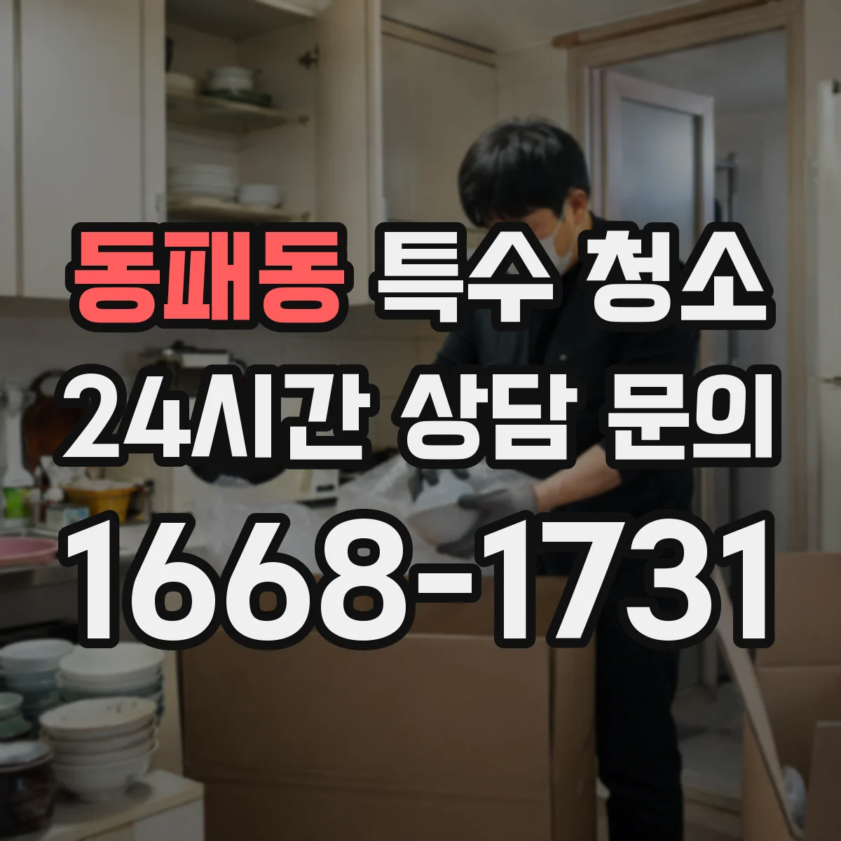 동패동 특수 청소