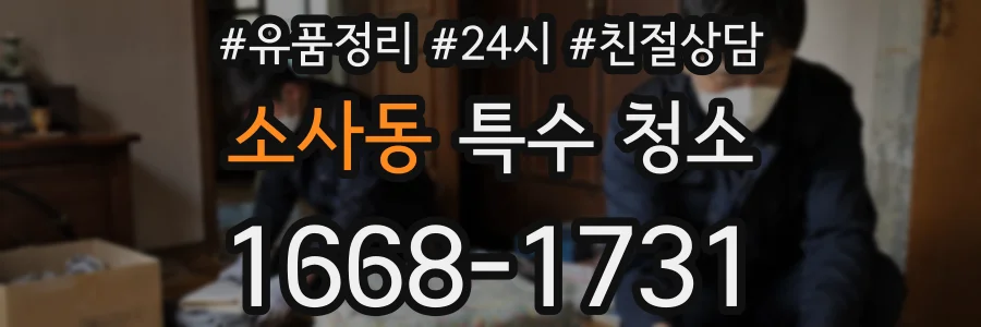 소사동 특수 청소