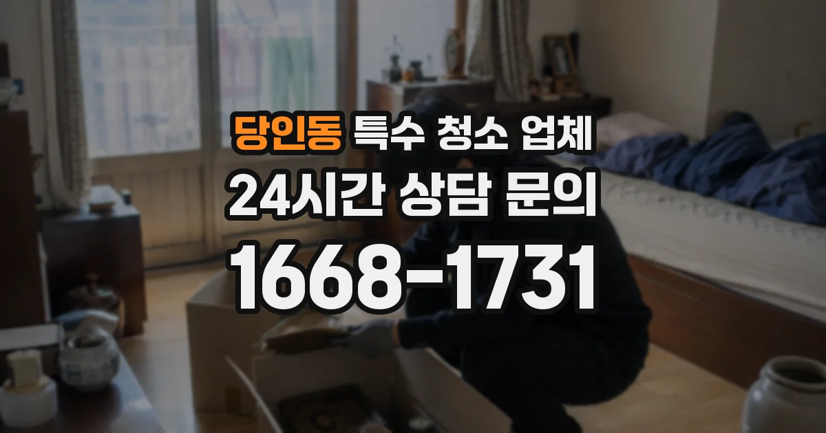 당인동 특수 청소 업체