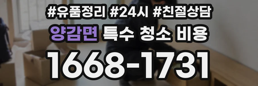 양감면 특수 청소 비용