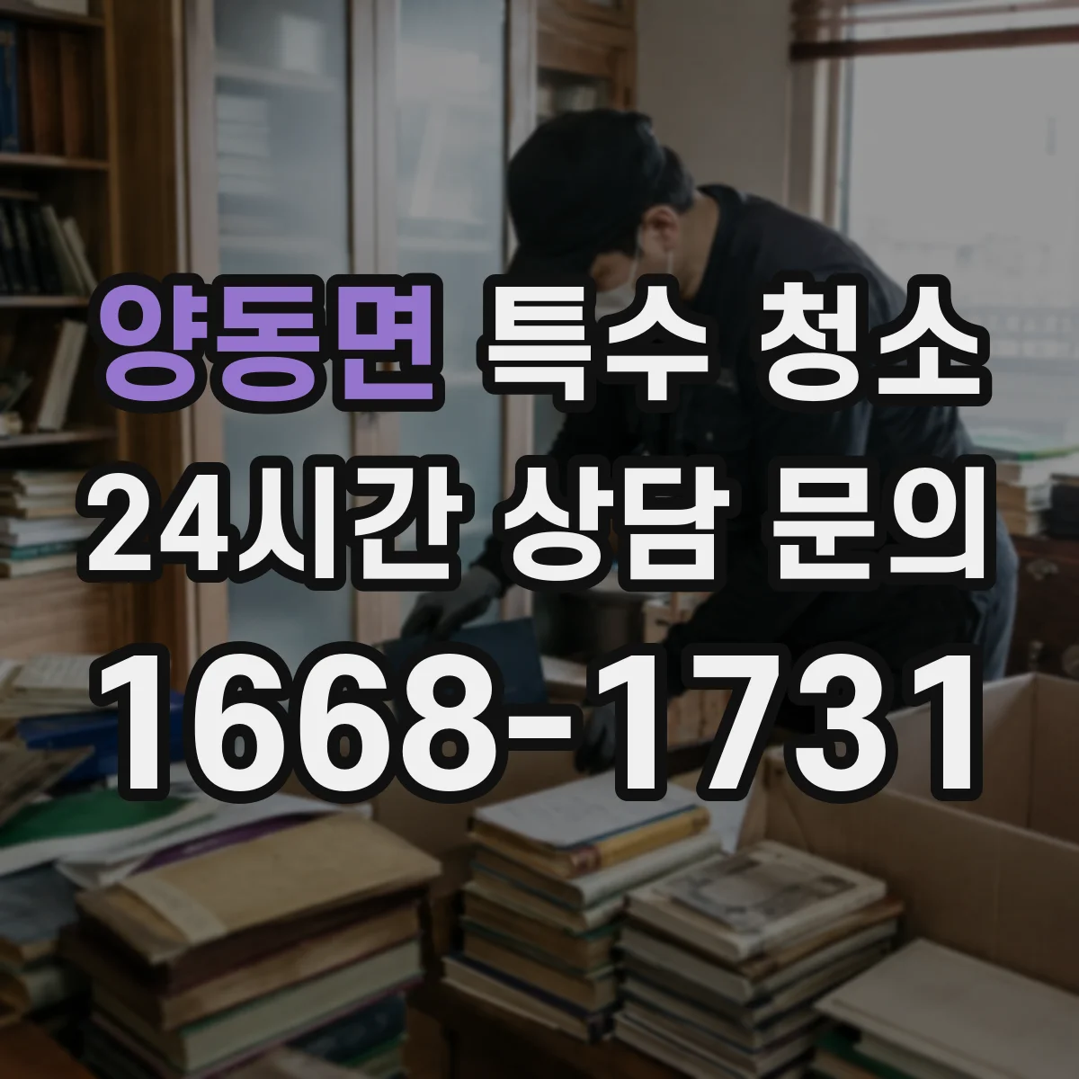 양동면 특수 청소