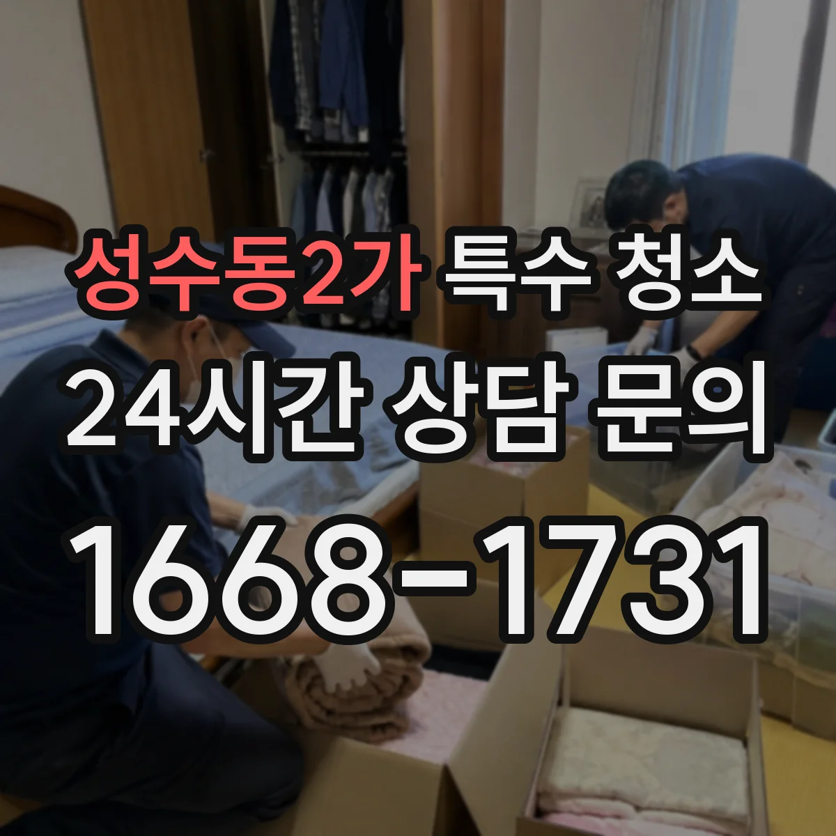 성수동2가 특수 청소
