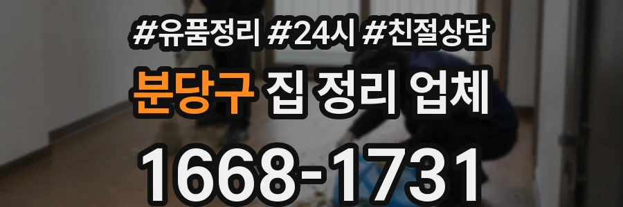 분당구 집 정리 업체