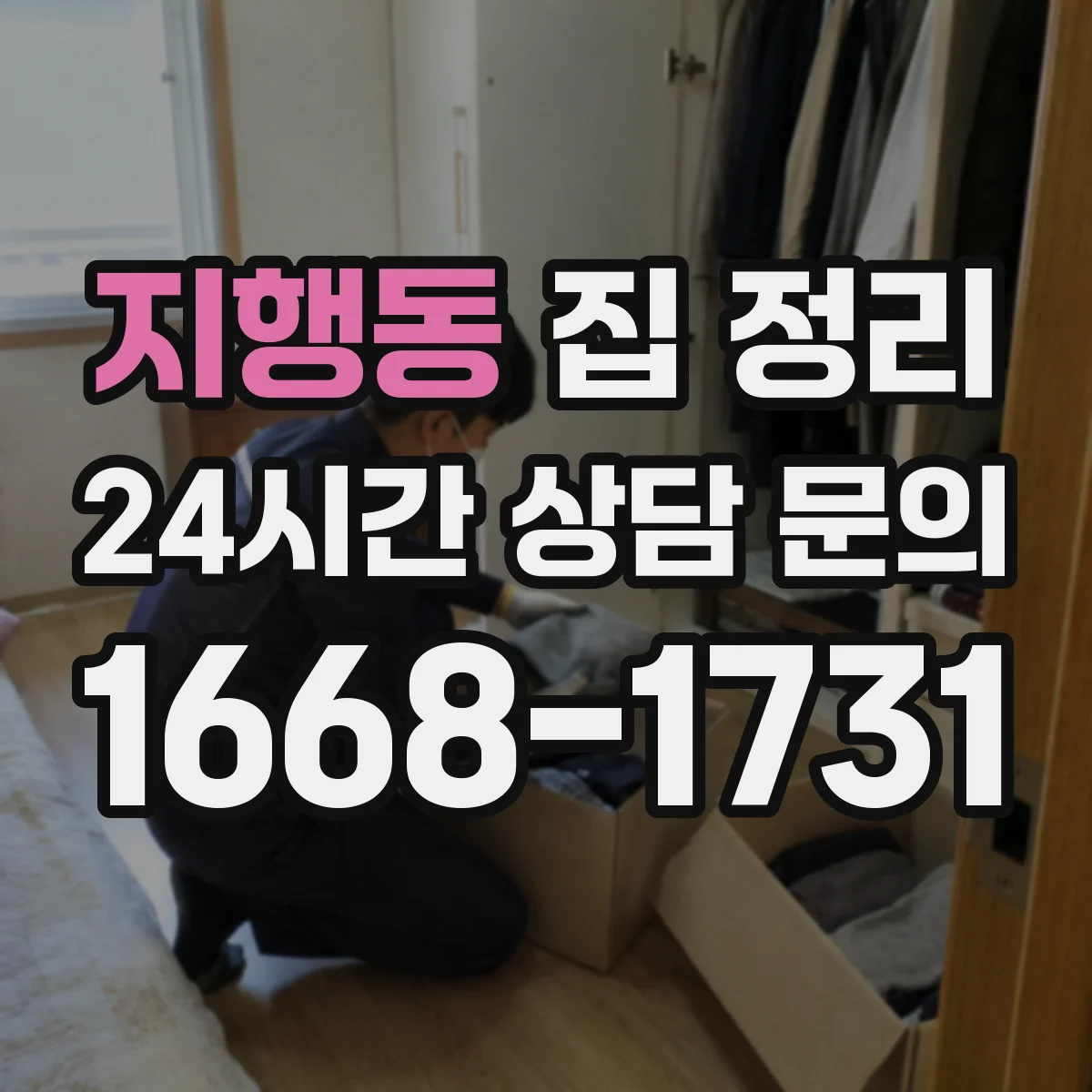 지행동 집 정리