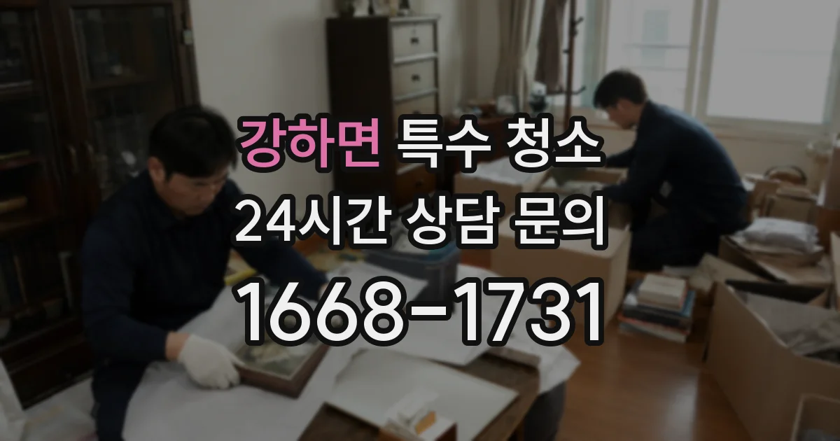 강하면 특수 청소
