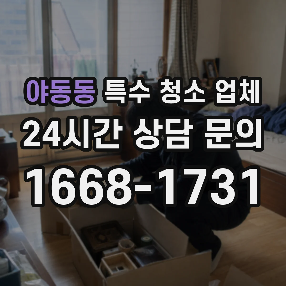 야동동 특수 청소 업체