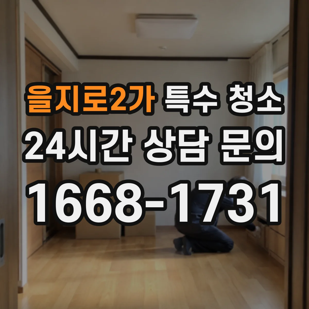 을지로2가 특수 청소