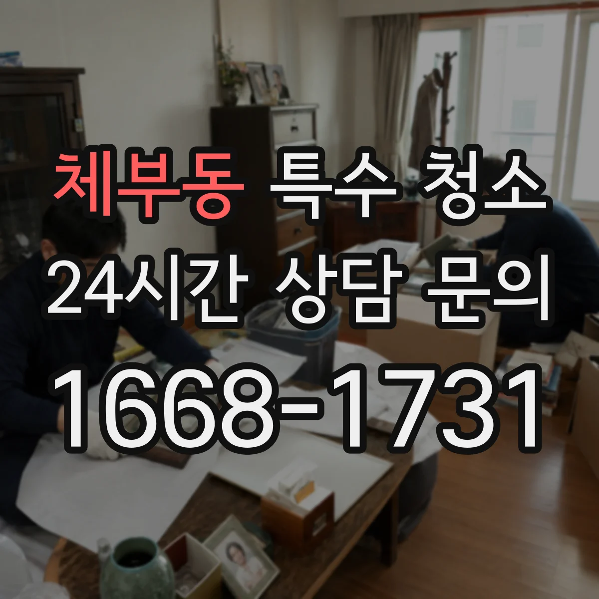 체부동 특수 청소