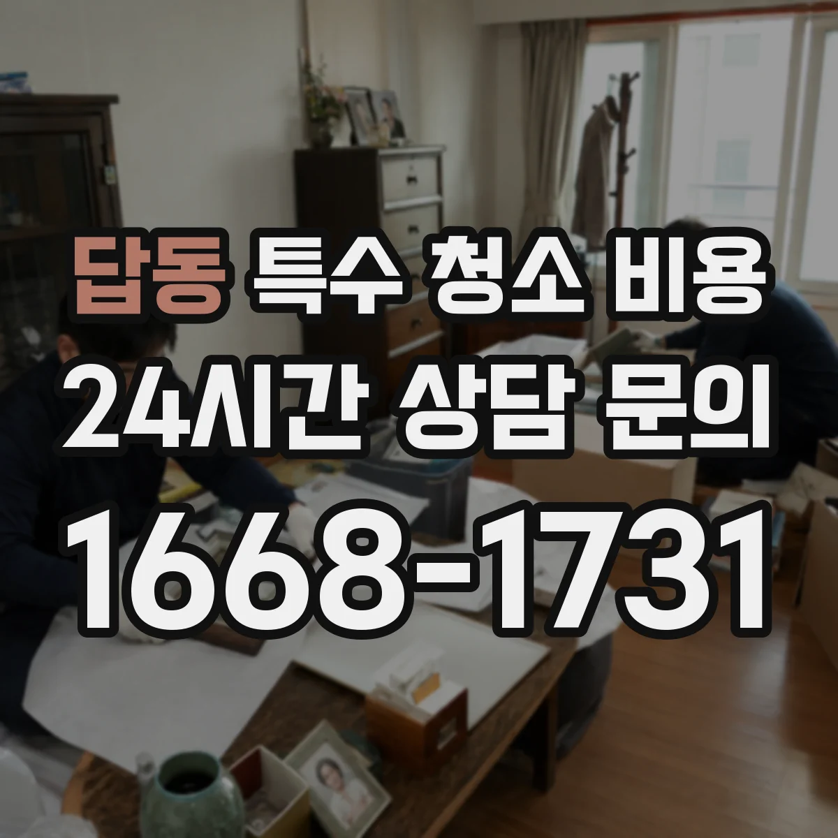답동 특수 청소 비용