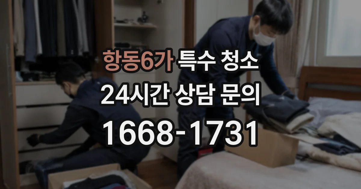 항동6가 특수 청소