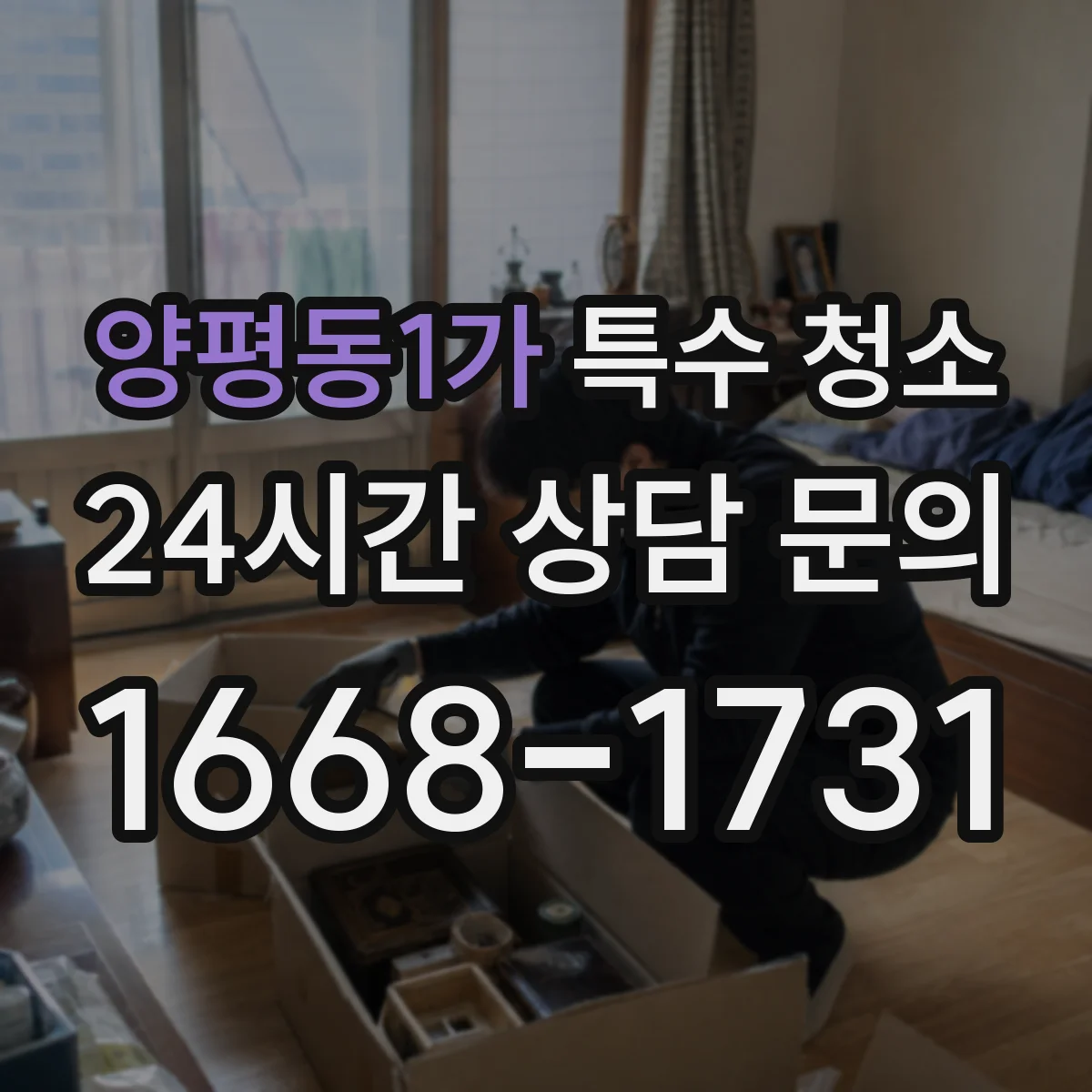 양평동1가 특수 청소