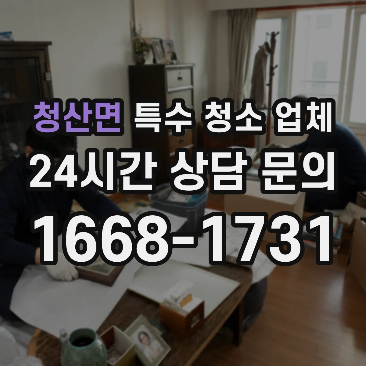 청산면 특수 청소 업체