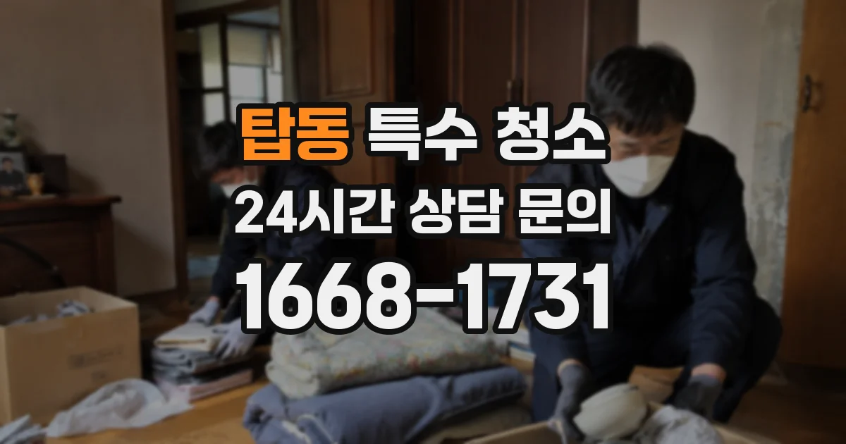 탑동 특수 청소