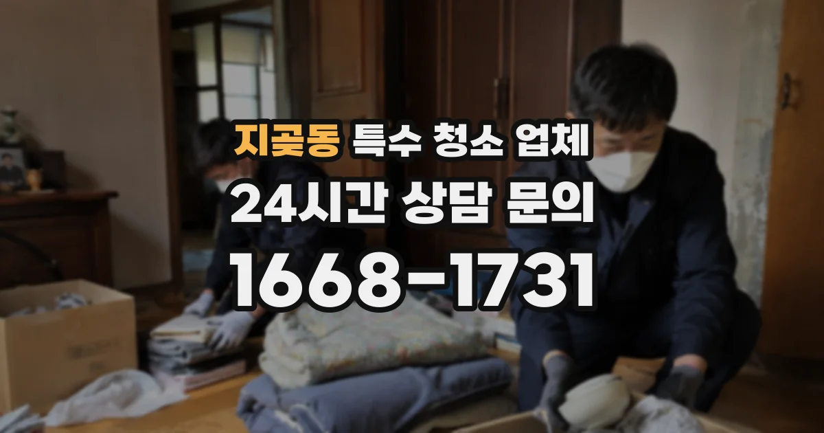 지곶동 특수 청소 업체