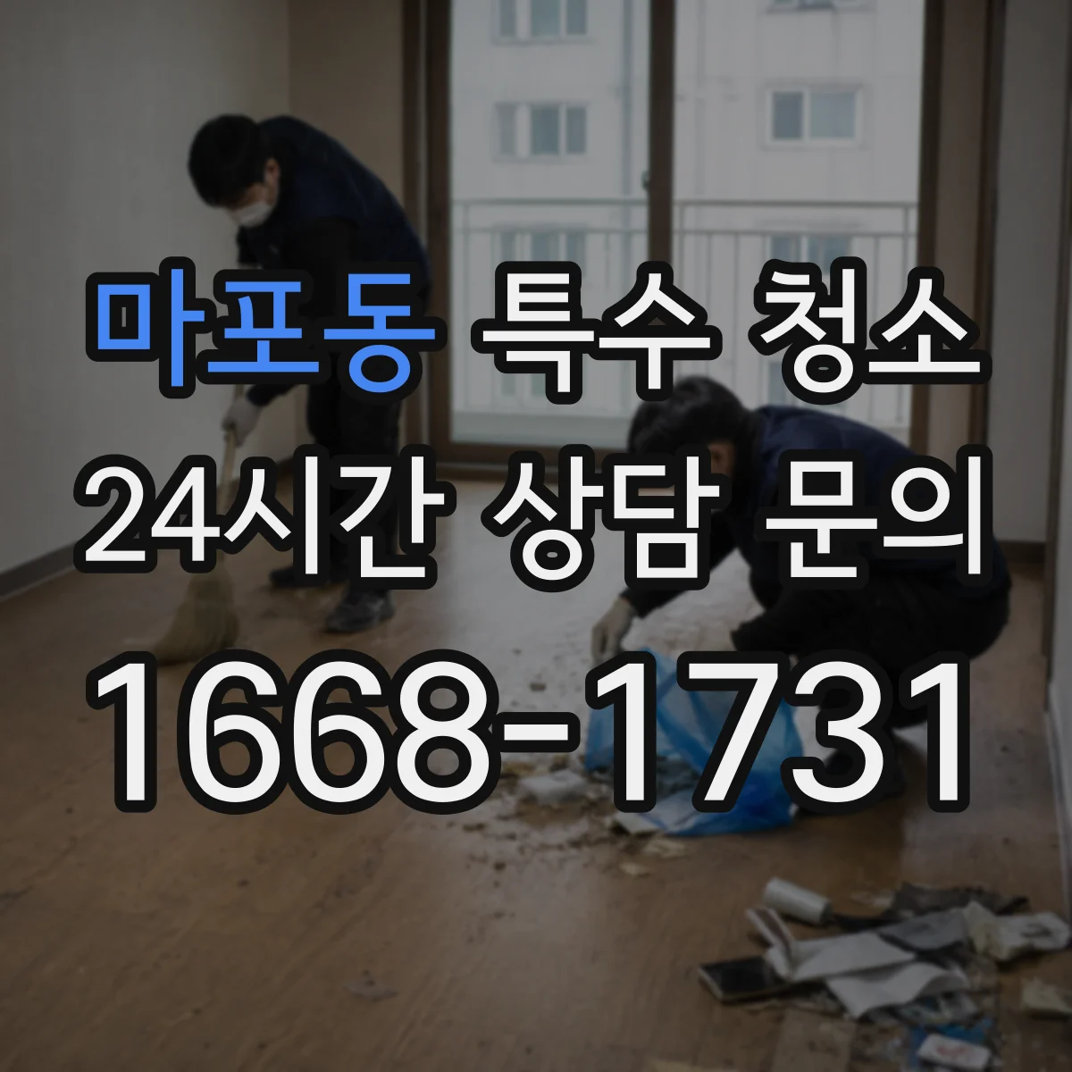마포동 특수 청소