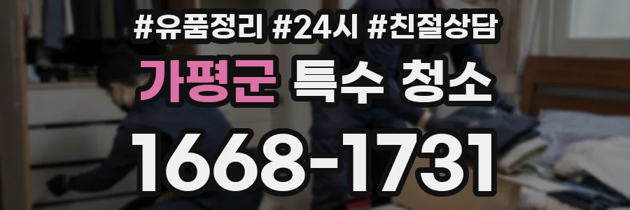 가평군 특수 청소