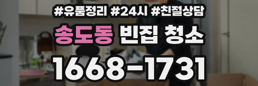 송도동 빈집 청소