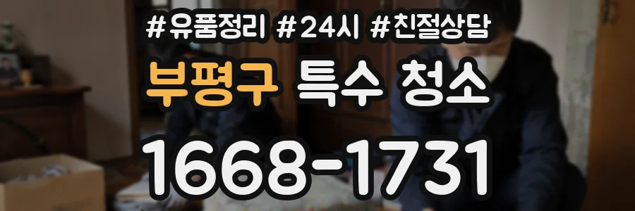 부평구 특수 청소