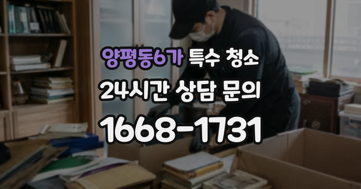 양평동6가 특수 청소