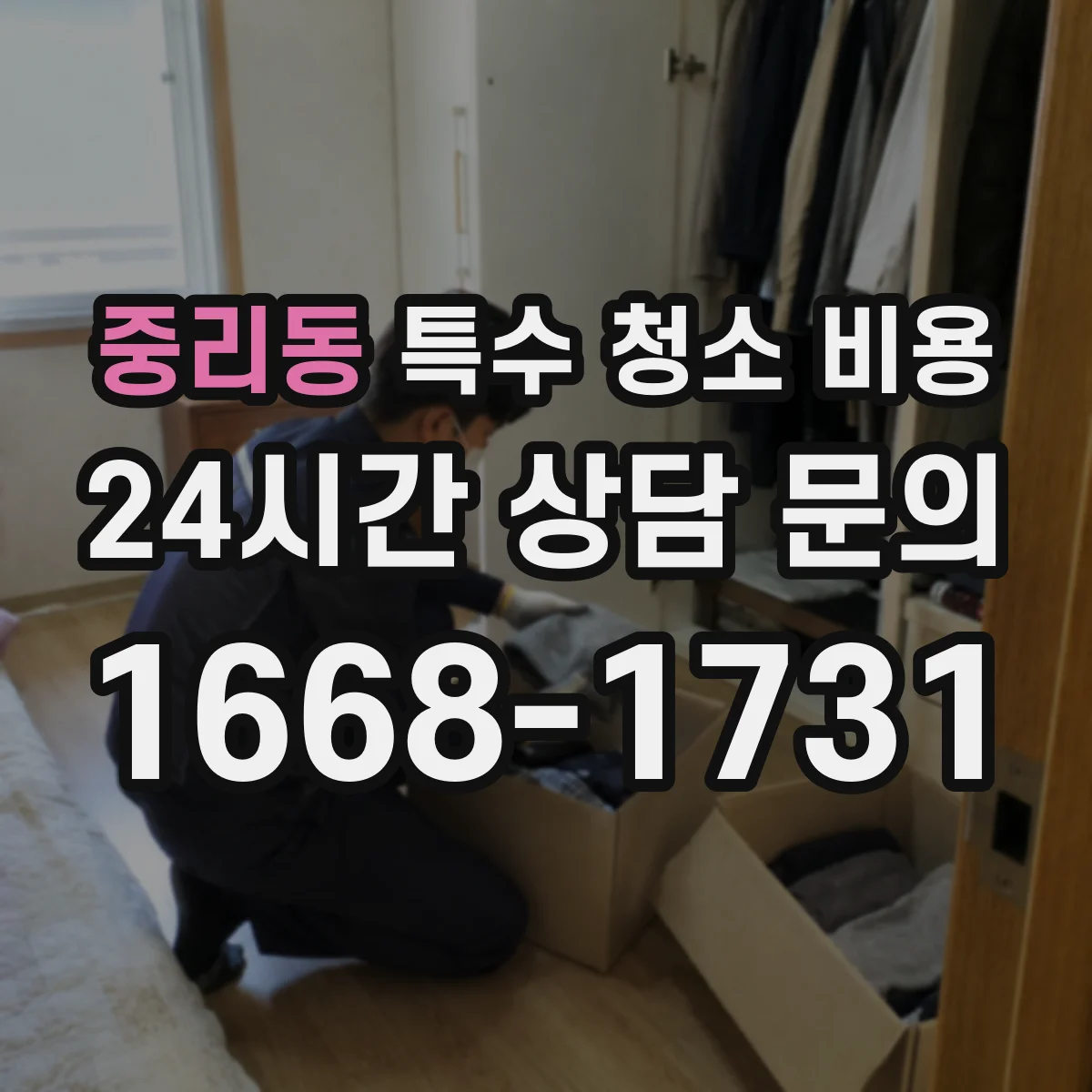 중리동 특수 청소 비용