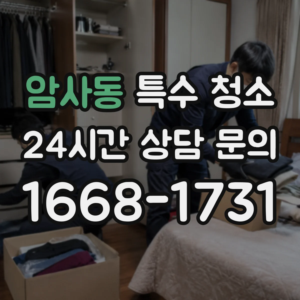 암사동 특수 청소