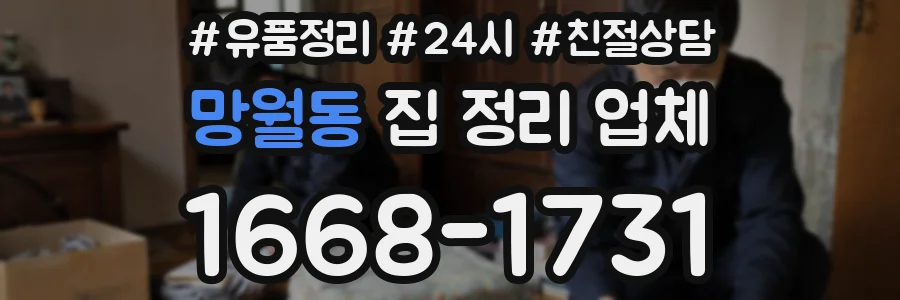 망월동 집 정리 업체