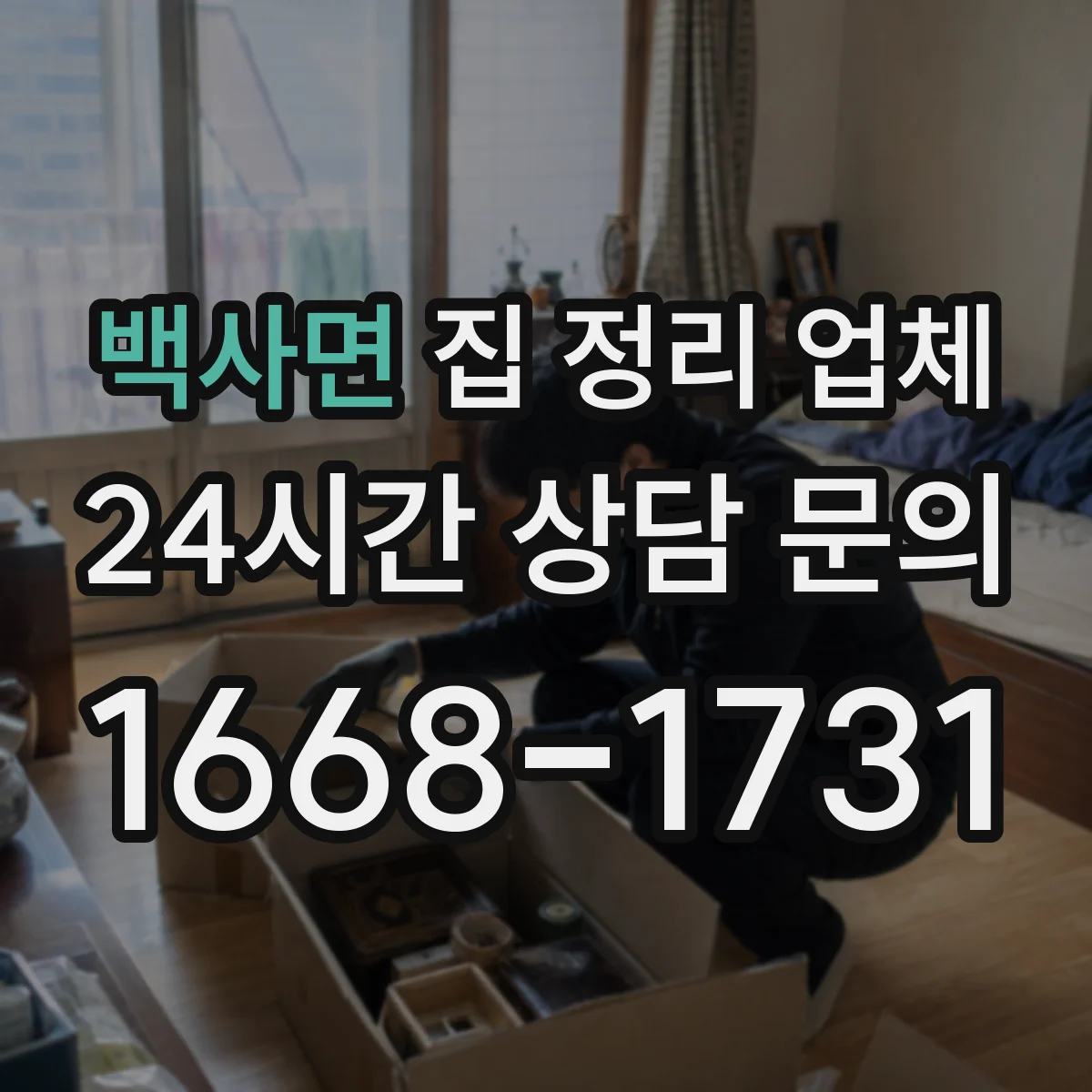 백사면 집 정리 업체