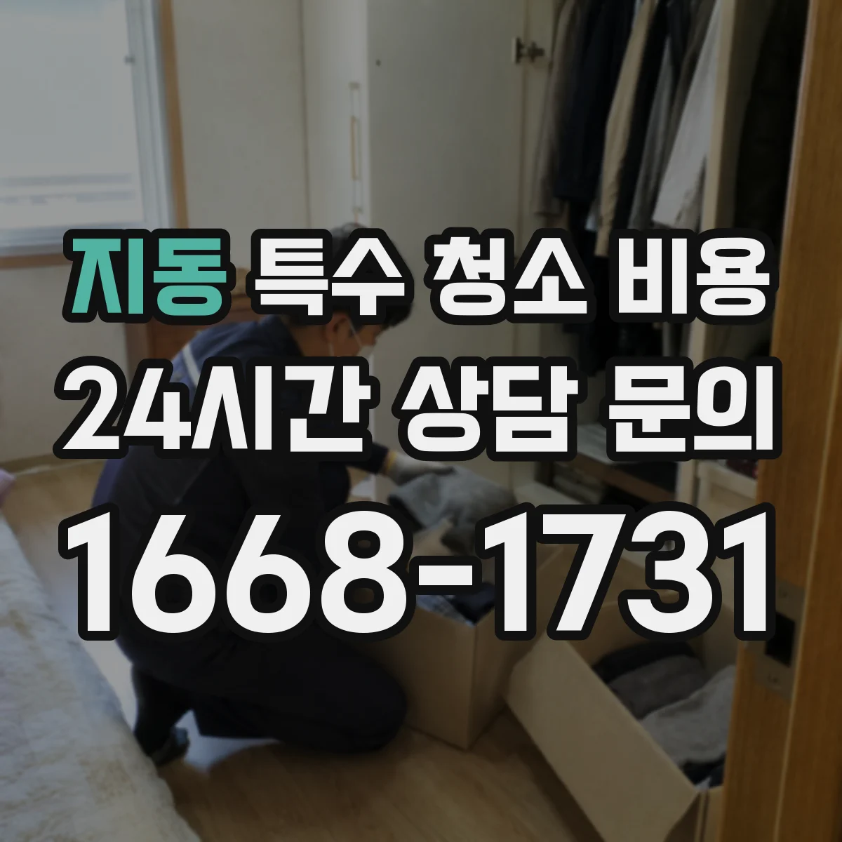 지동 특수 청소 비용
