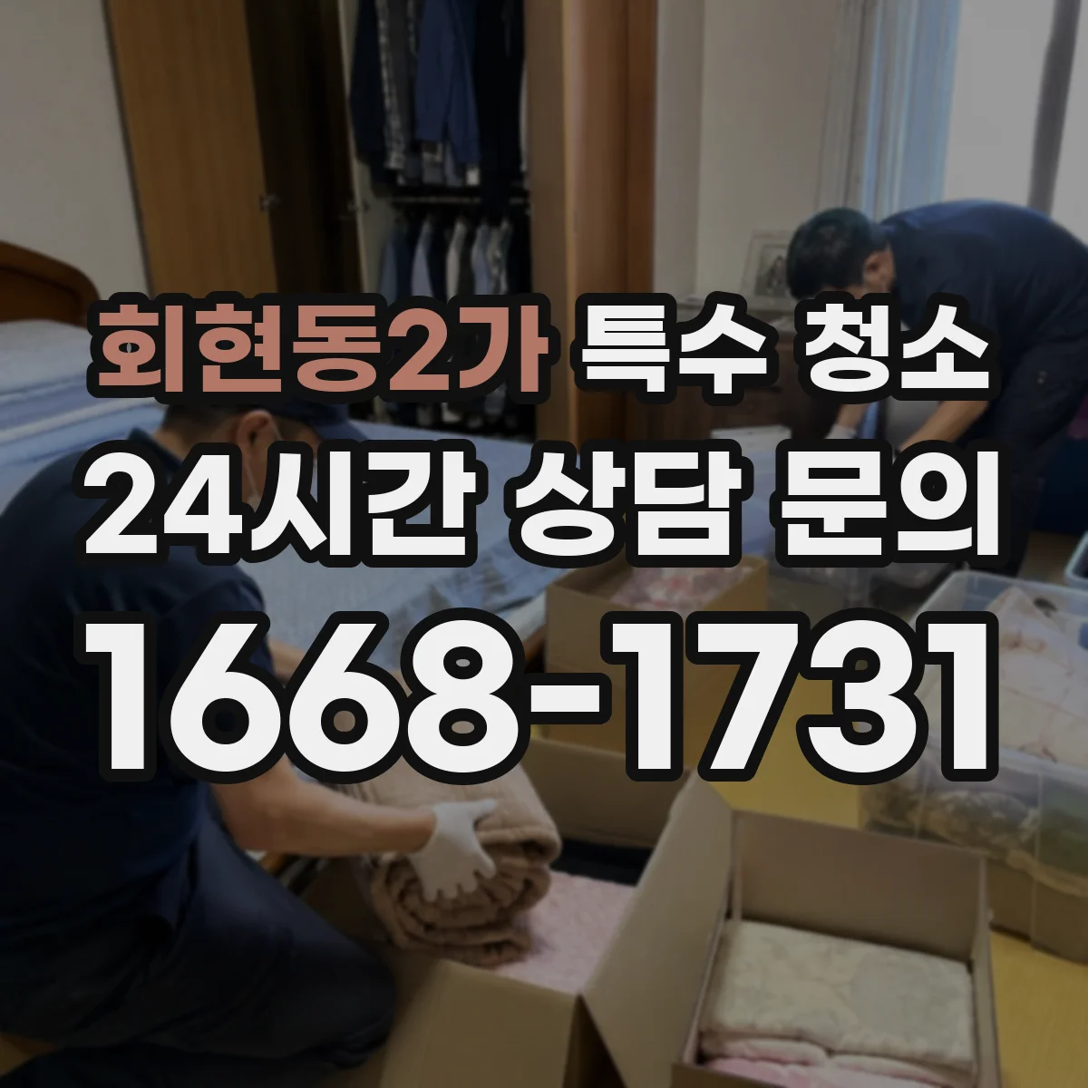 회현동2가 특수 청소