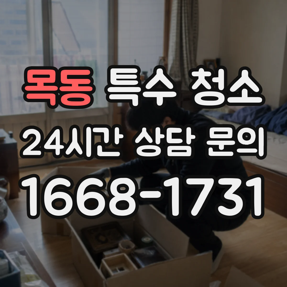 목동 특수 청소