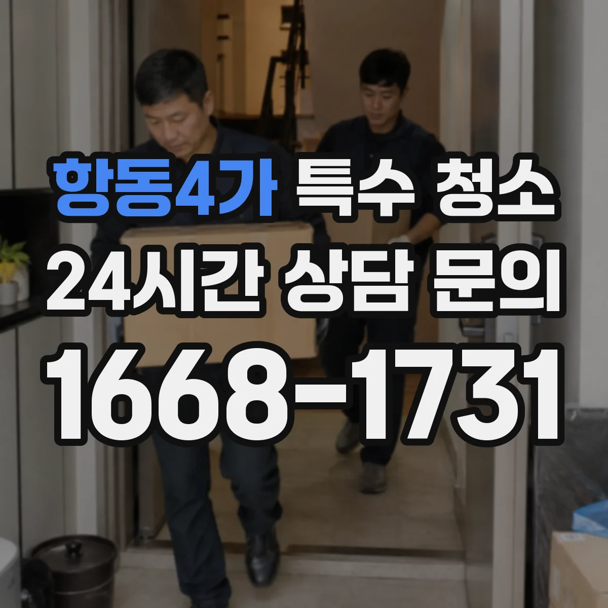 항동4가 특수 청소