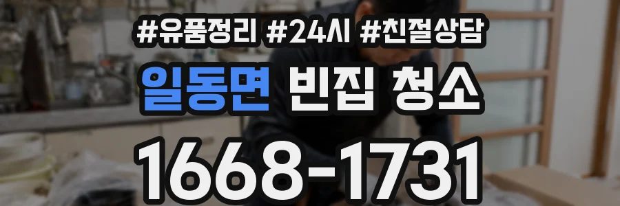 일동면 빈집 청소