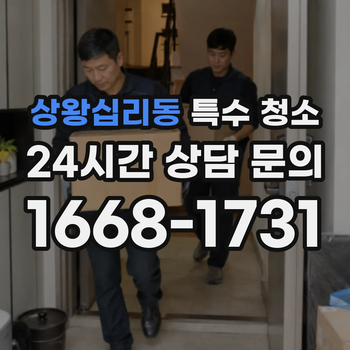 상왕십리동 특수 청소