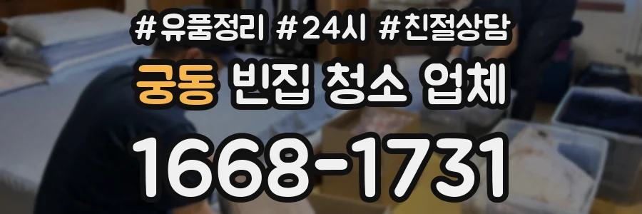 궁동 빈집 청소 업체
