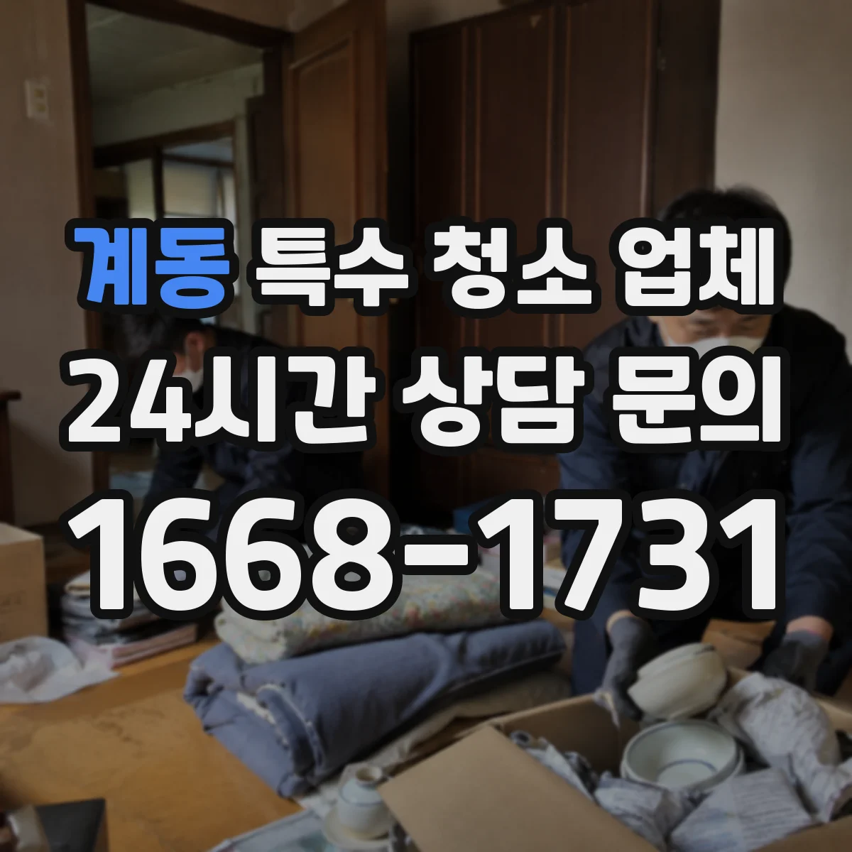 계동 특수 청소 업체