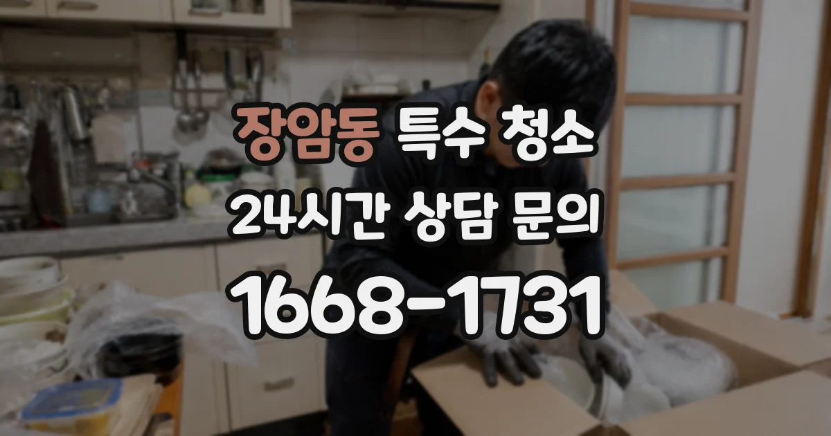 장암동 특수 청소