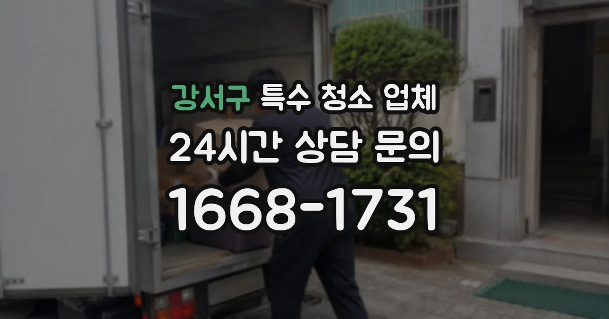 강서구 특수 청소 업체