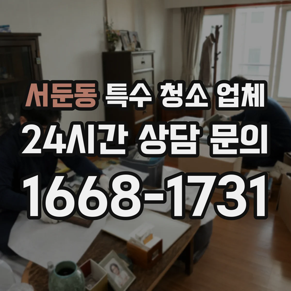 서둔동 특수 청소 업체