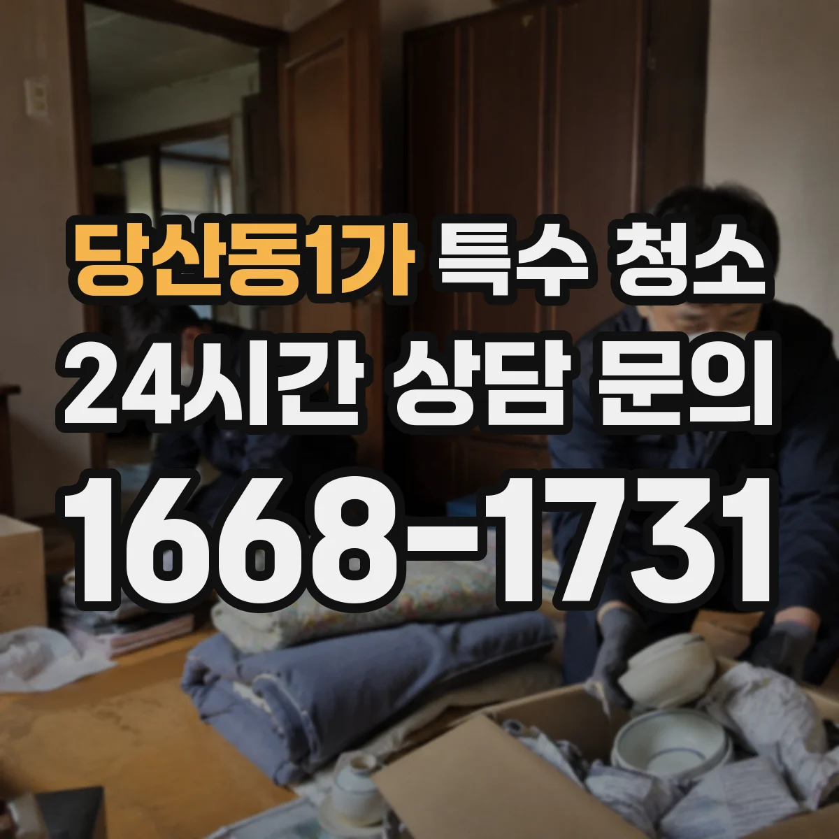 당산동1가 특수 청소
